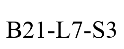 B21-L7-S3
