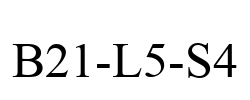 B21-L5-S4