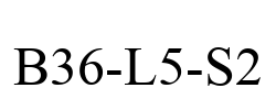 B36-L5-S2
