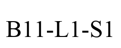 B11-L1-S1