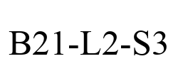 B21-L2-S3