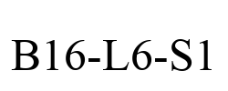 B16-L6-S1