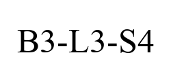 B3-L3-S4