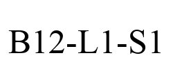 B12-L1-S1