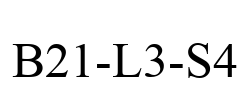 B21-L3-S4
