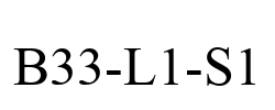 B33-L1-S1