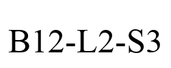 B12-L2-S3