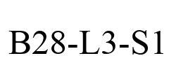 B28-L3-S1
