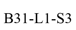 B31-L1-S3