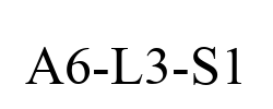 A6-L3-S1