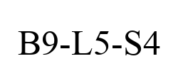 B9-L5-S4