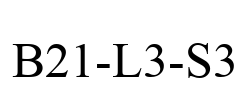 B21-L3-S3