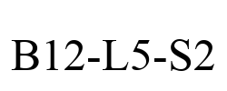 B12-L5-S2