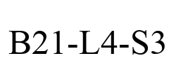 B21-L4-S3