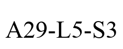 A29-L5-S3