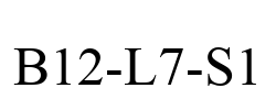 B12-L7-S1