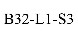 B32-L1-S3