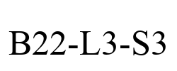 B22-L3-S3