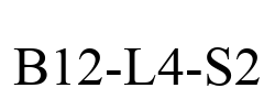 B12-L4-S2