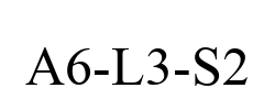 A6-L3-S2
