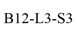 B12-L3-S3
