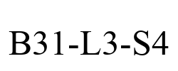 B31-L3-S4
