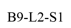 B9-L2-S1
