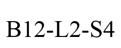 B12-L2-S4