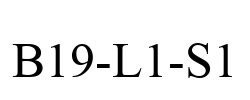 B19-L1-S1