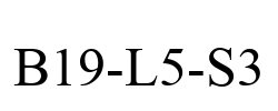 B19-L5-S3
