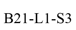 B21-L1-S3