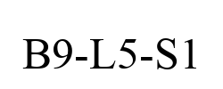 B9-L5-S1