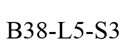 B38-L5-S3