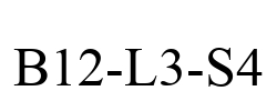 B12-L3-S4
