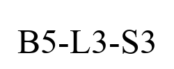 B5-L3-S3
