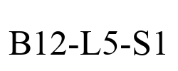 B12-L5-S1