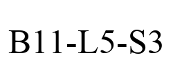 B11-L5-S3