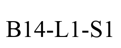 B14-L1-S1
