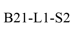 B21-L1-S2