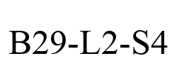 B29-L2-S4