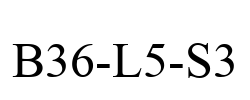 B36-L5-S3
