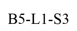 B5-L1-S3