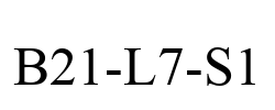 B21-L7-S1