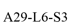 A29-L6-S3