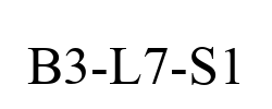 B3-L7-S1