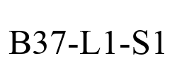 B37-L1-S1