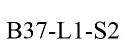 B37-L1-S2