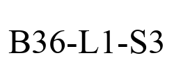B36-L1-S3