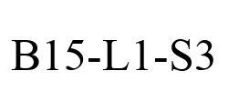 B15-L1-S3