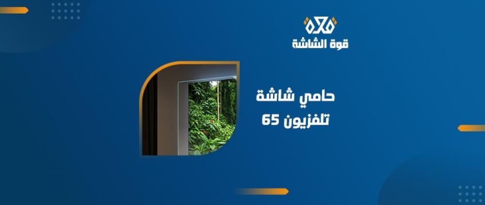 حامي شاشة تلفزيون 65